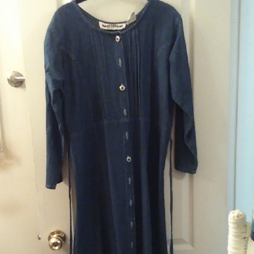 Blue Long Sleeve Dress
